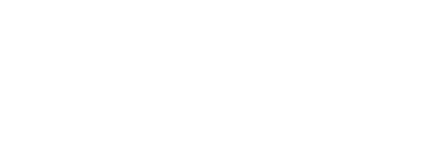 SXmusic HD
